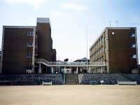 近くの神戸市立甲緑小学校まで234m（徒歩3分）