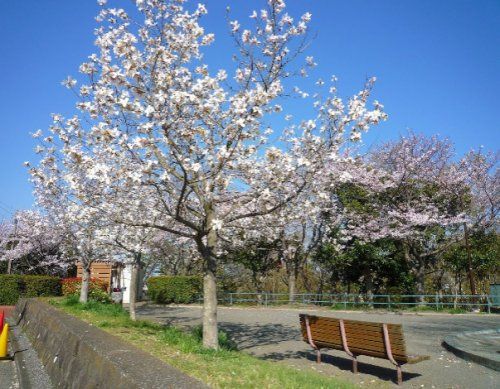 近くの公園まで935m（徒歩12分）