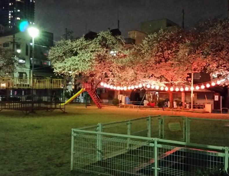 近くの本庄川崎公園まで203m（徒歩3分）