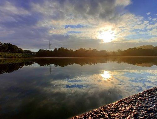 近くの雨池公園まで547m（徒歩7分）