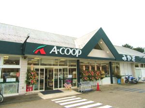 近くのAコープ みやぎ店まで1,003m（徒歩13分）