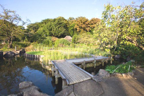 近くの馬場花木園まで501m（徒歩7分）