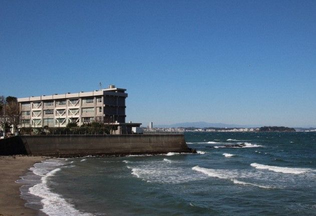 近くの横須賀市立走水小学校まで324m(徒歩5分)