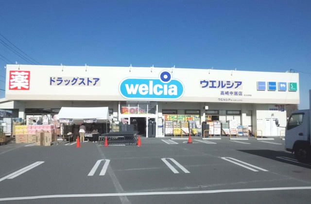 近くのウエルシア薬局高崎中居店まで1,045m（徒歩14分）