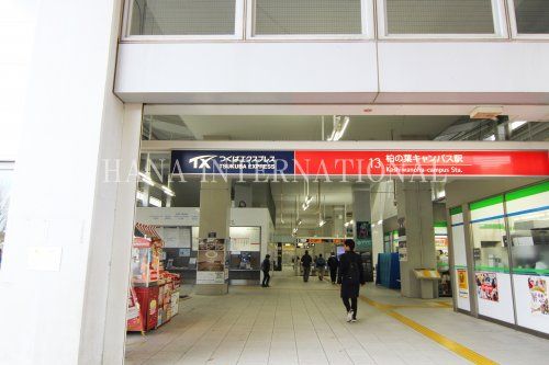 近くの柏の葉キャンパス駅まで1,299m（徒歩17分）