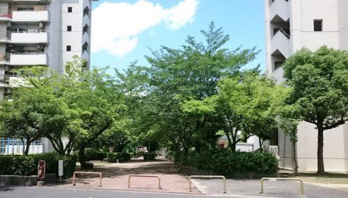 近くの北江口中央公園まで973m(徒歩13分)