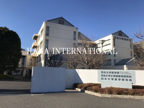 近くの日本大学　薬学部まで5,162m（徒歩65分）