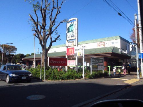 近くの飲食店まで1,176m（徒歩15分）