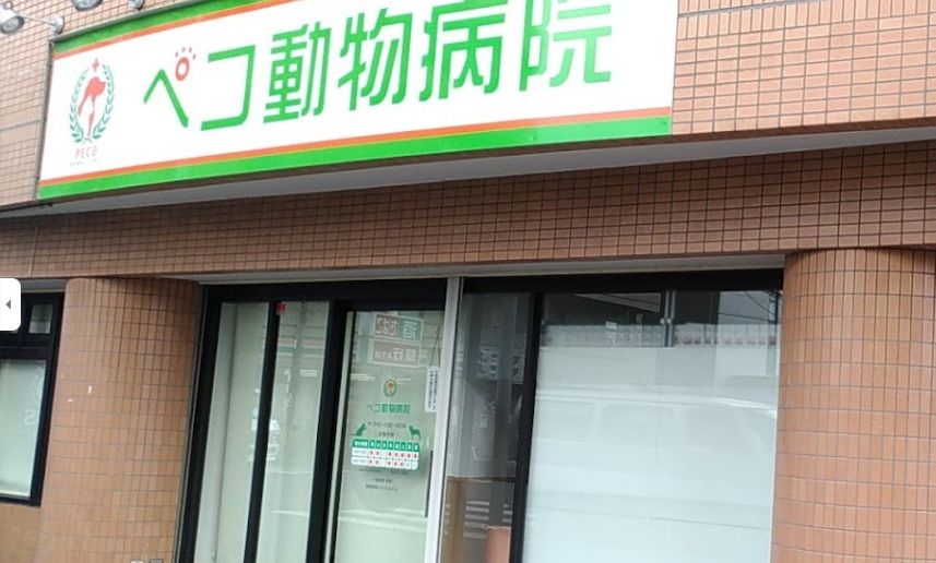 近くのペコ動物病院まで76m（徒歩1分）