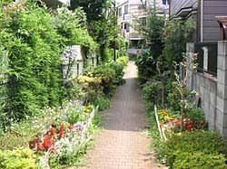 近くの谷戸前川緑道まで848m（徒歩11分）