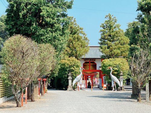 近くの箱崎八幡神社まで1,435m（徒歩18分）