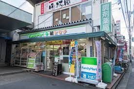 近くのヒグチ薬品亀戸東口店まで581m(徒歩8分)