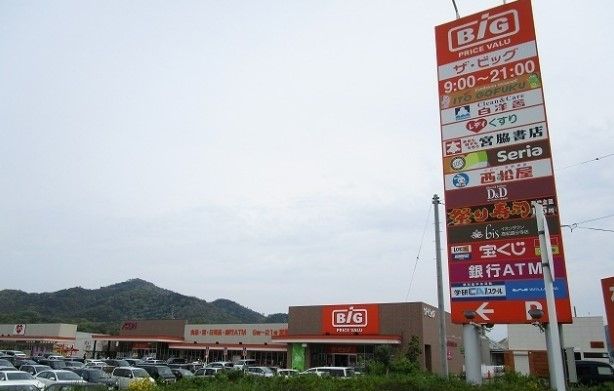 近くのThe Big(ザ・ビッグ) 国分寺店まで916m（徒歩12分）