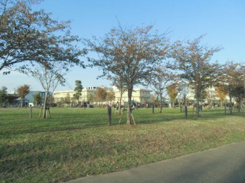 近くの広尾防災公園まで358m（徒歩5分）