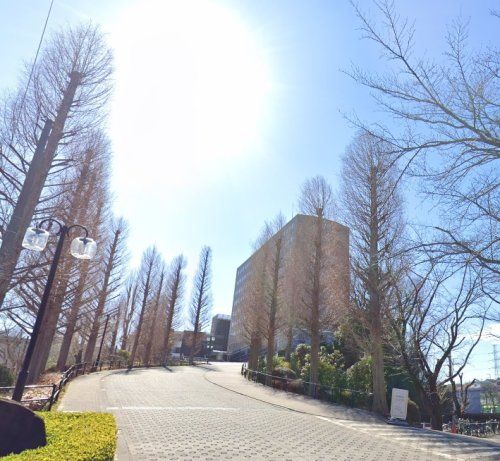 近くの私立和光大学まで1,256m（徒歩16分）