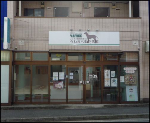 近くのうわまち動物病院まで456m（徒歩6分）