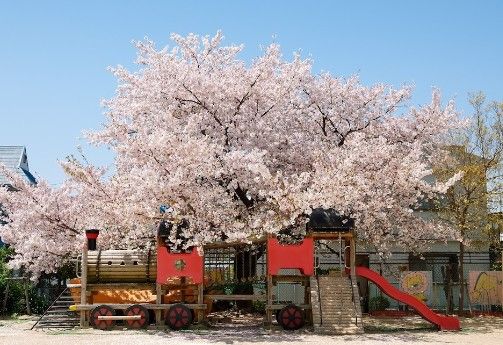 近くのさくら幼稚園まで732m（徒歩10分）