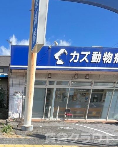 近くのカズ動物病院まで33m（徒歩1分）