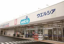 近くのウエルシア太田台之郷店まで784m（徒歩10分）