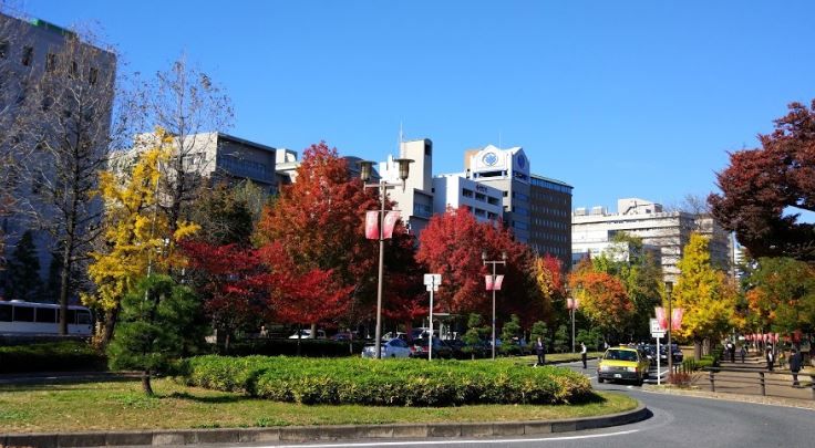近くの大阪城大手前 芝生広場まで679m（徒歩9分）