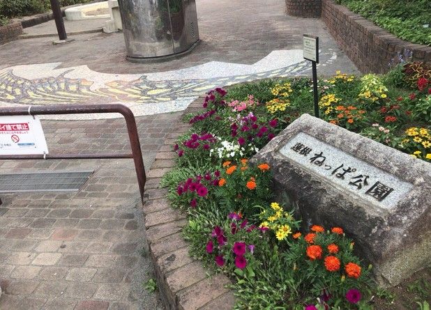 近くの蓮根ねっぱ公園まで785m(徒歩10分)