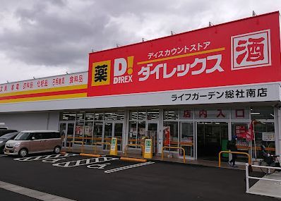 近くのダイレックス ライフガーデン総社南店まで1,817m（徒歩23分）