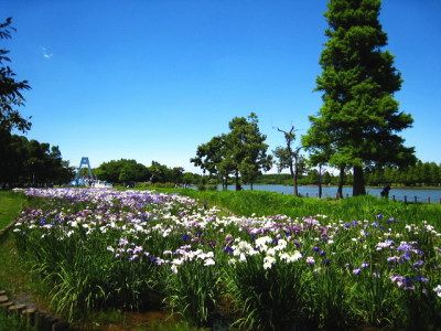 近くの公園まで1,979m（徒歩25分）