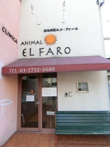 近くの動物病院 エルファーロまで164m(徒歩3分)