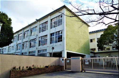 近くの小学校まで320m（徒歩4分）