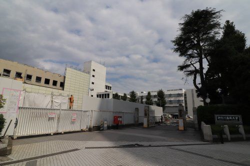 近くの大学・短大まで857m（徒歩11分）