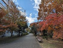 近くの大学・短大まで4,793m（徒歩60分）