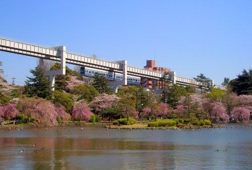 近くの千葉公園まで644m（徒歩9分）