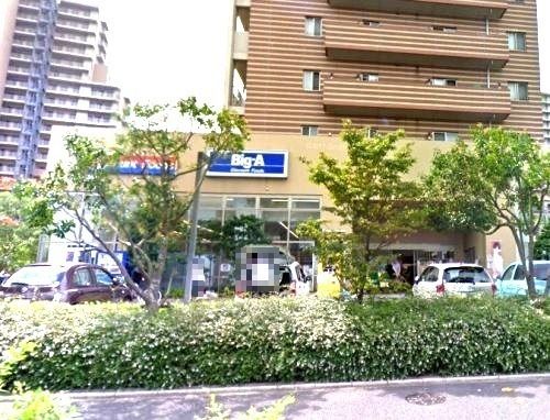 近くのビッグ・エーまで555m(徒歩7分)