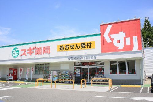 近くのスギ薬局 常滑陶郷店まで1,055m（徒歩14分）