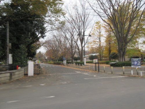 近くの公園まで1,052m（徒歩14分）