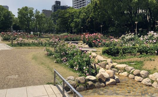 近くの靭公園まで861m（徒歩11分）