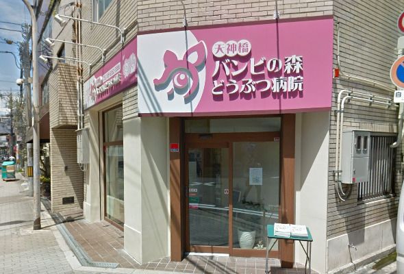近くの天神橋バンビの森どうぶつ病院まで564m（徒歩8分）