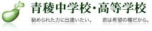 近くの青稜中学校・高等学校まで370m（徒歩5分）