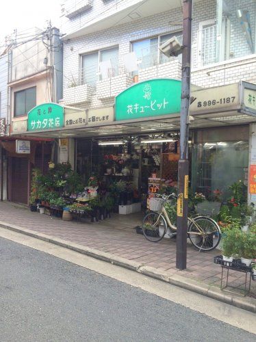 近くのサカタ花店まで303m（徒歩4分）