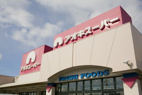 近くのアオキスーパー 乙川店まで571m（徒歩8分）