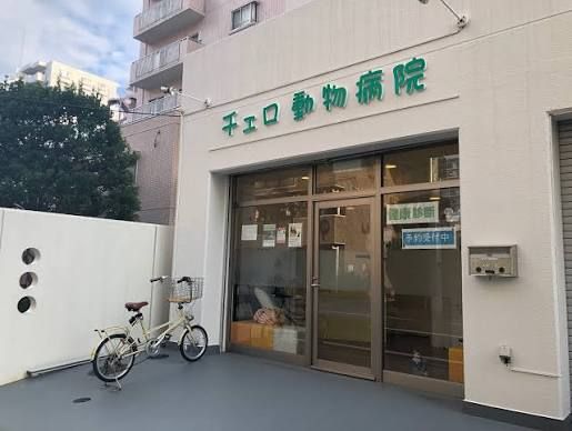 近くのチェロ動物病院まで353m(徒歩5分)