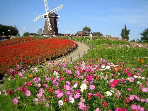 近くの花博まで1,060m(徒歩14分)