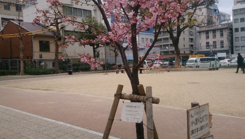 近くの久宝公園まで115m(徒歩2分)