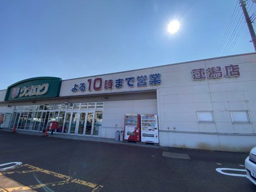 近くのウオロク蓮潟店まで568m（徒歩8分）