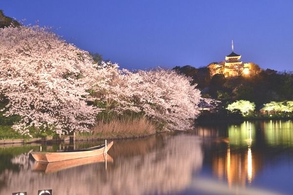 近くの三渓園まで745m(徒歩10分)