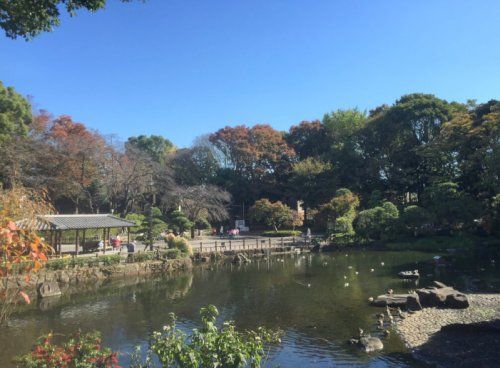 近くの戸越公園まで598m（徒歩8分）