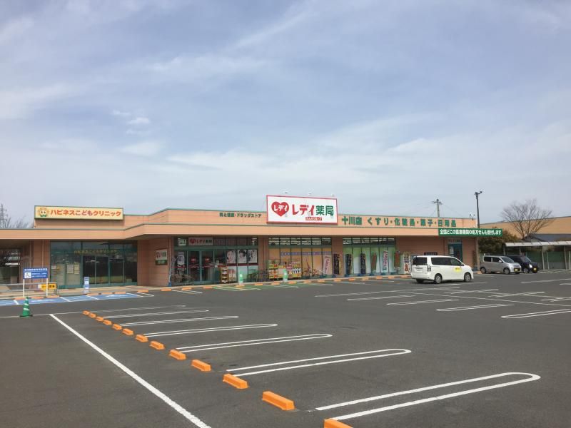 近くのレデイ薬局 十川店まで1,631m（徒歩21分）