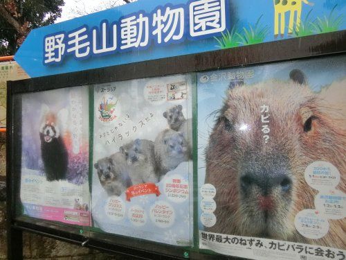 近くの野毛山動物園まで2,693m（徒歩34分）