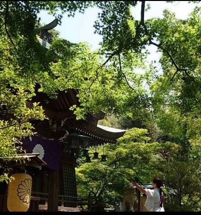 近くの垂水神社まで725m（徒歩10分）