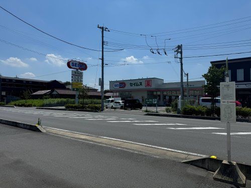 近くのセイムス川口安行まで801m（徒歩11分）